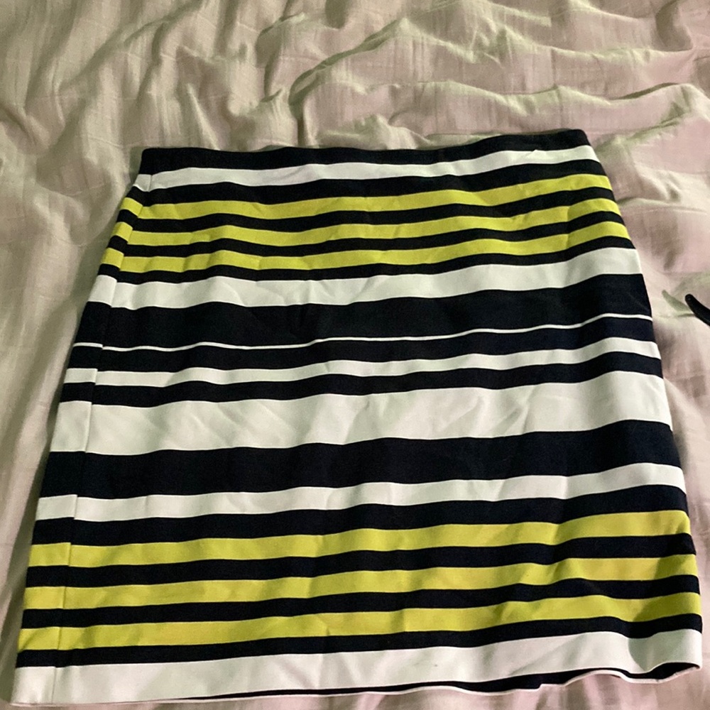 Ann Taylor skirt